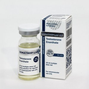 Testosterone Enanthate - 10ml/250mg/ml - Somatrop-Lab