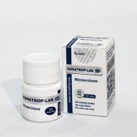 Mesterolone - 50tabs/25mg/tab - Somatrop-Lab